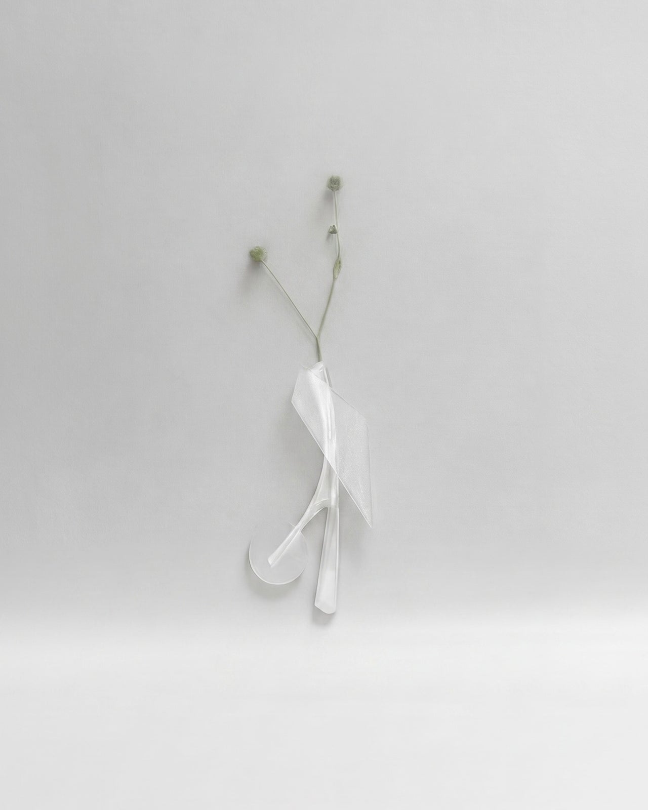 Wall Vase