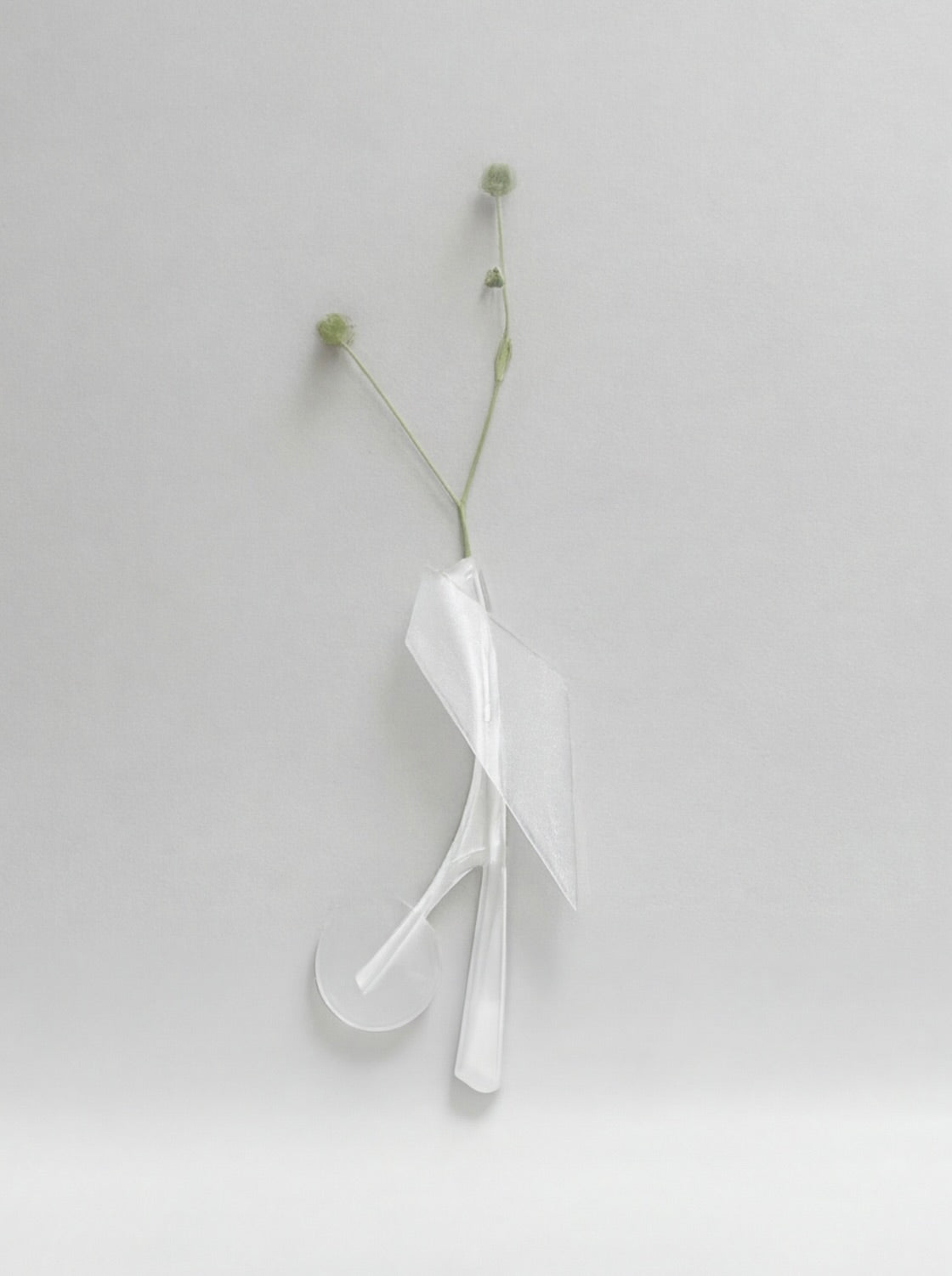 Wall Vase